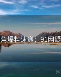 法律视角爆料速递：91网疑点解析