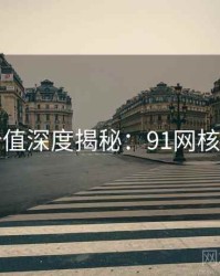 商业价值深度揭秘：91网核心看点