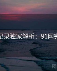 全景记录独家解析：91网完整版