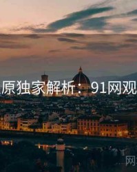 数据还原独家解析：91网观众必看