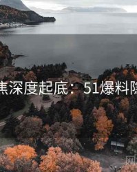 今日聚焦深度起底：51爆料隐情曝光