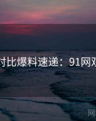 多版本对比爆料速递：91网观众必看