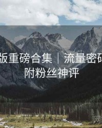 91网页版重磅合集｜流量密码剖析＋附粉丝神评