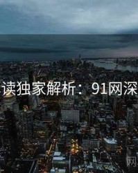 全面解读独家解析：91网深度思考