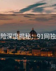 安全风险深度揭秘：91网独家首发