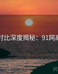 多版本对比深度揭秘：91网高清资源