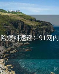 安全风险爆料速递：91网内幕浮现