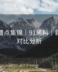 看点与槽点集锦｜91黑料｜新旧版本对比分析
