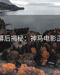 黄金周幕后揭秘：神马电影正版授权