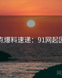 技术热点爆料速递：91网起因与影响
