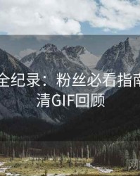 91官网全纪录：粉丝必看指南，附高清GIF回顾