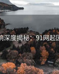 社交影响深度揭秘：91网起因与影响