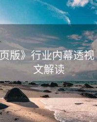 《91网页版》行业内幕透视 · 深度长文解读