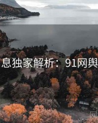 一线消息独家解析：91网舆论风向