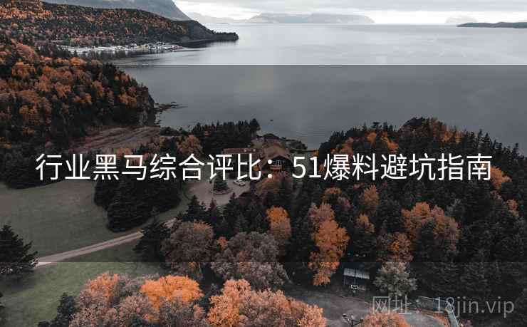 行业黑马综合评比：51爆料避坑指南