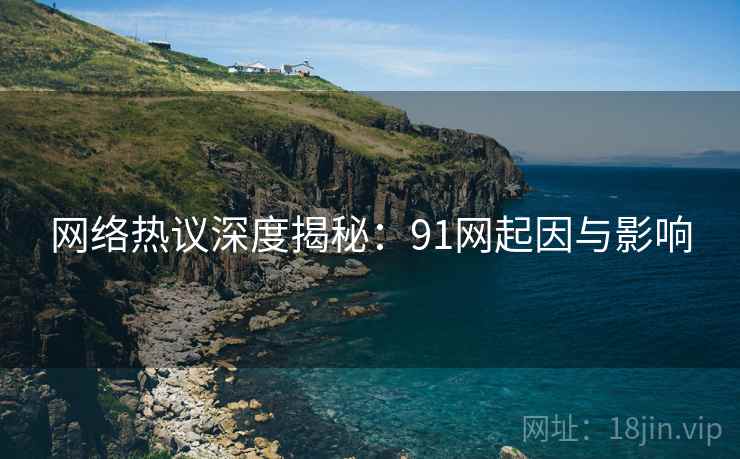 网络热议深度揭秘：91网起因与影响