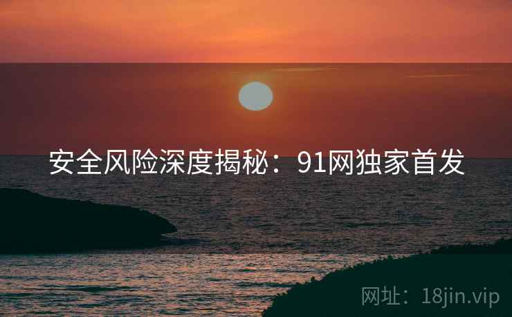 安全风险深度揭秘：91网独家首发