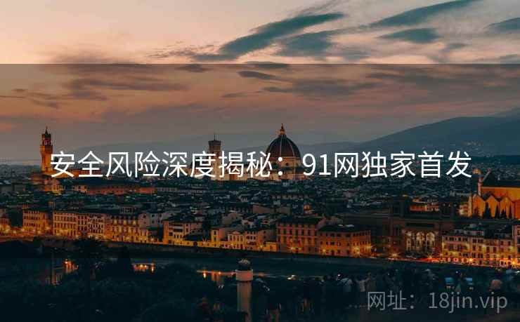 安全风险深度揭秘：91网独家首发