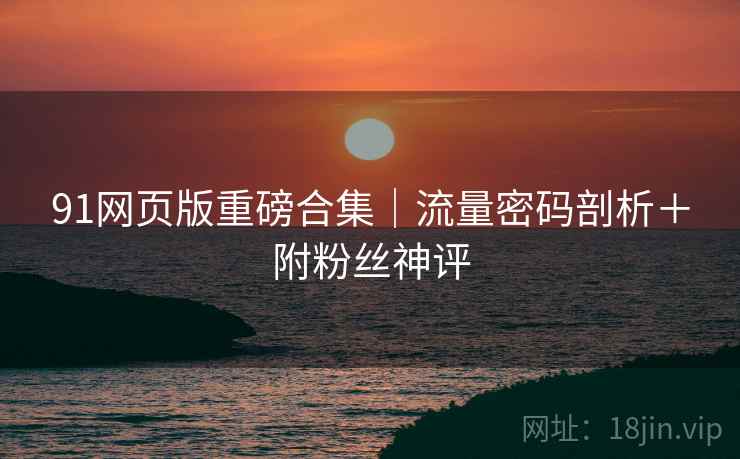 91网页版重磅合集｜流量密码剖析＋附粉丝神评