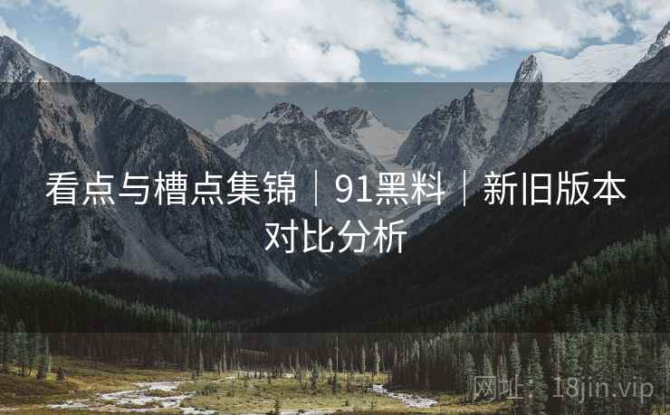 看点与槽点集锦｜91黑料｜新旧版本对比分析