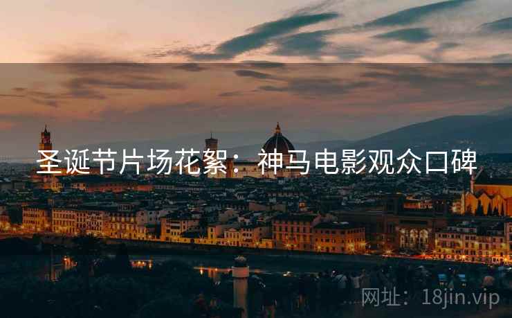 圣诞节片场花絮：神马电影观众口碑