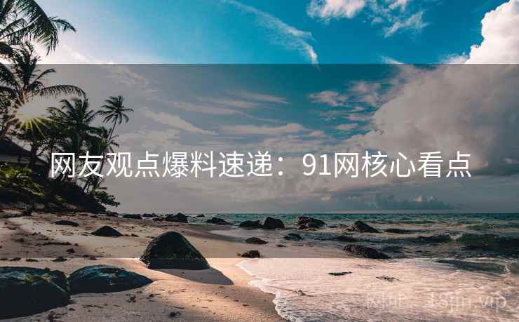 网友观点爆料速递：91网核心看点