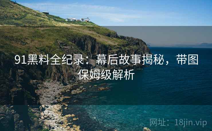 91黑料全纪录：幕后故事揭秘，带图保姆级解析