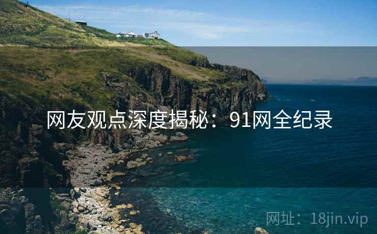 网友观点深度揭秘：91网全纪录