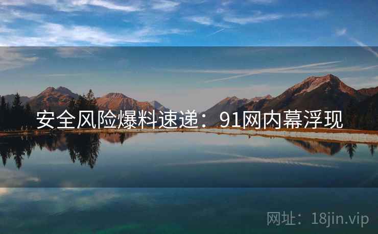 安全风险爆料速递：91网内幕浮现