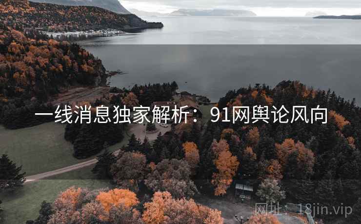 一线消息独家解析：91网舆论风向