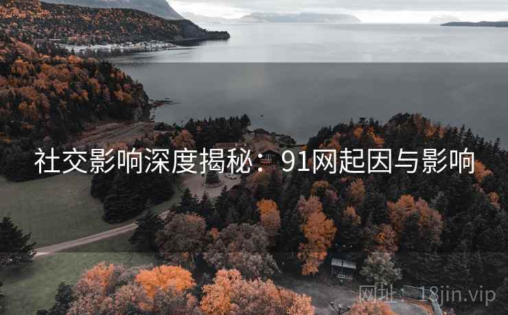 社交影响深度揭秘：91网起因与影响