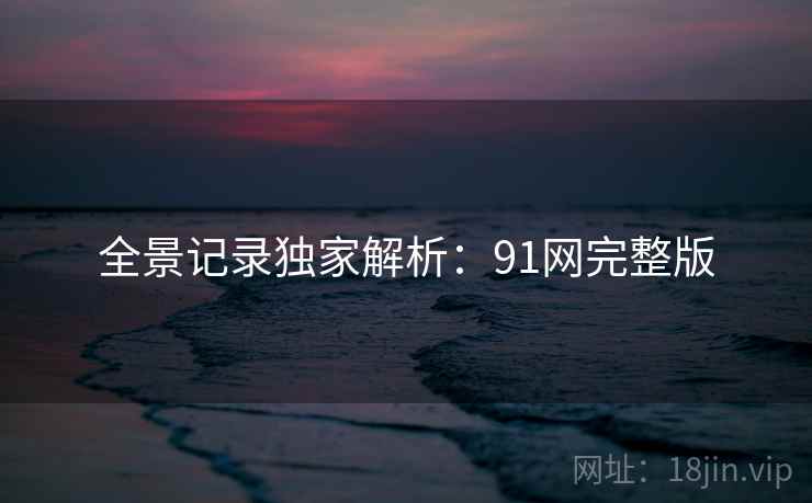 全景记录独家解析：91网完整版