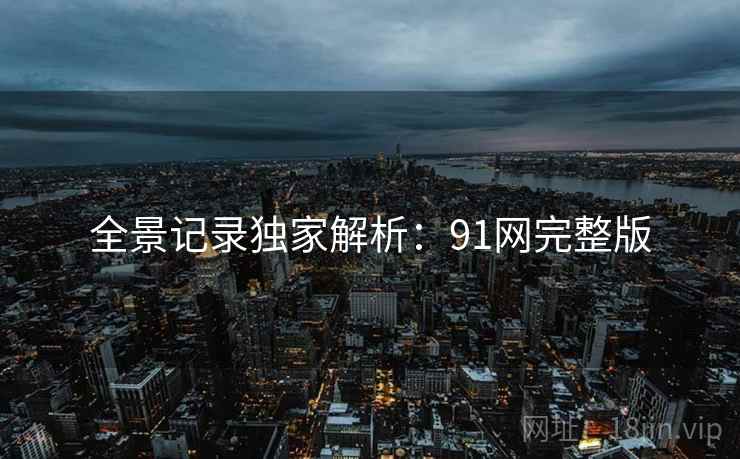 全景记录独家解析：91网完整版