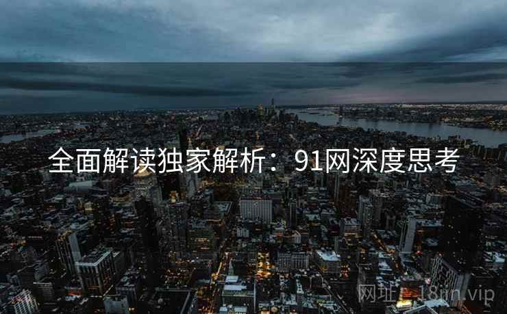 全面解读独家解析：91网深度思考